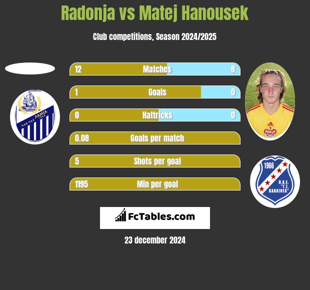 Radonja vs Matej Hanousek h2h player stats