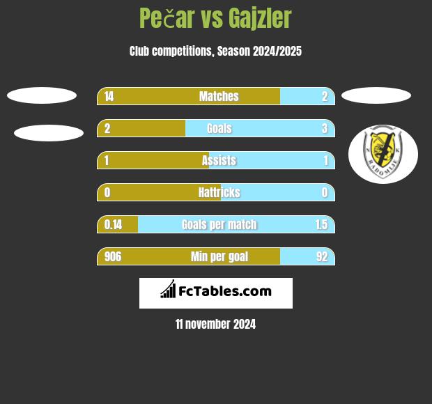 Pečar vs Gajzler h2h player stats