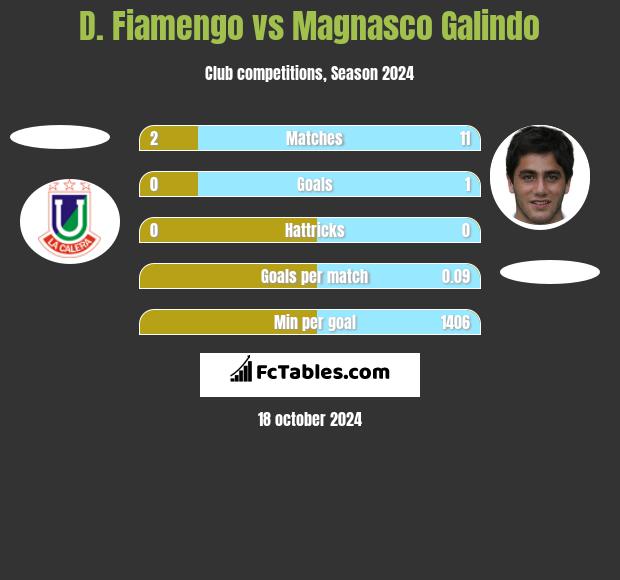 D. Fiamengo vs Magnasco Galindo h2h player stats