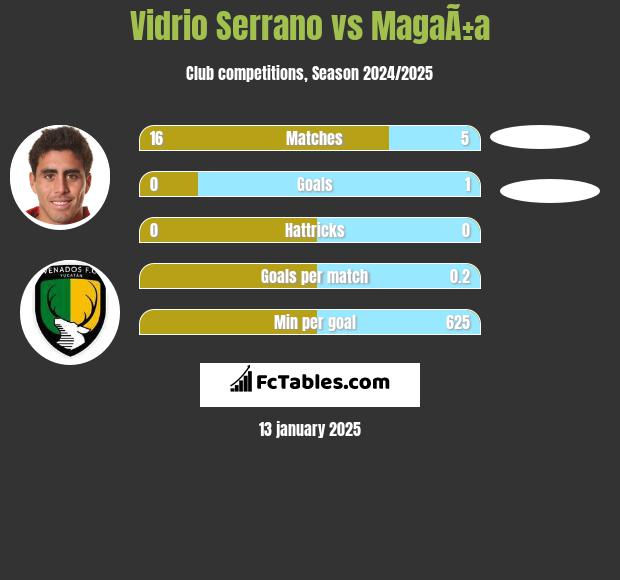 Vidrio Serrano vs MagaÃ±a h2h player stats