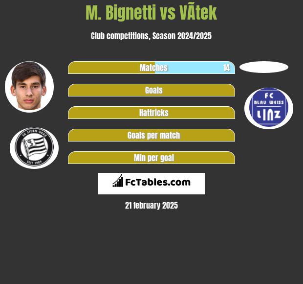 M. Bignetti vs VÃ­tek h2h player stats