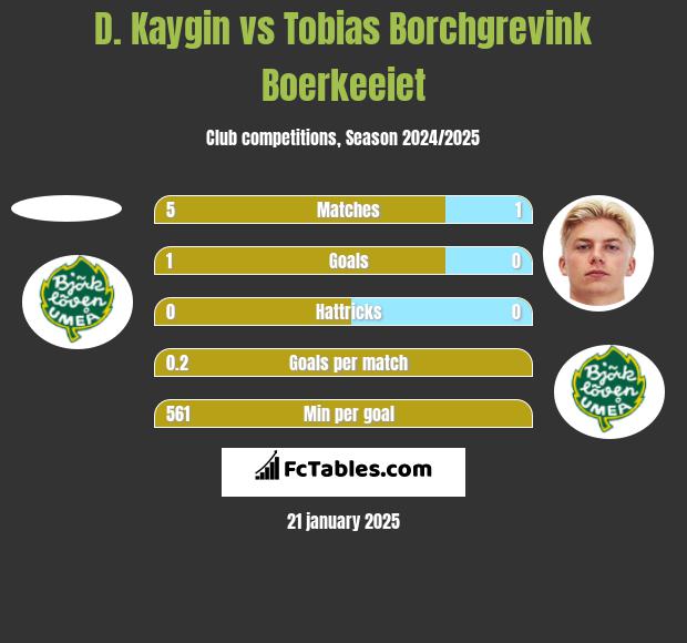 D. Kaygin vs Tobias Borchgrevink Boerkeeiet h2h player stats