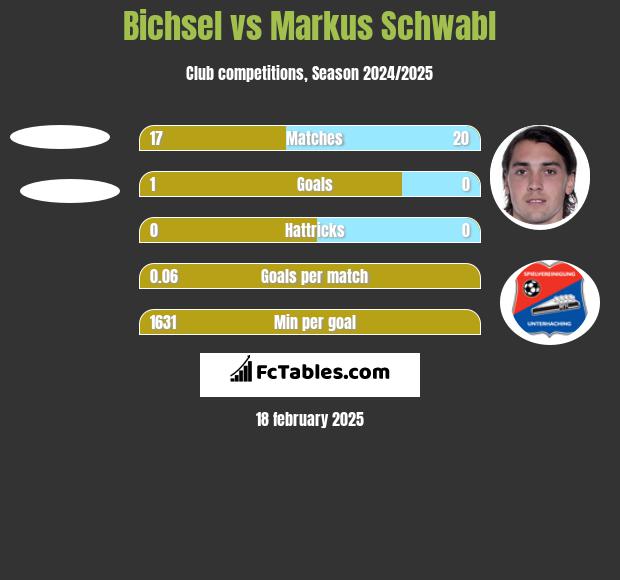 Bichsel vs Markus Schwabl h2h player stats