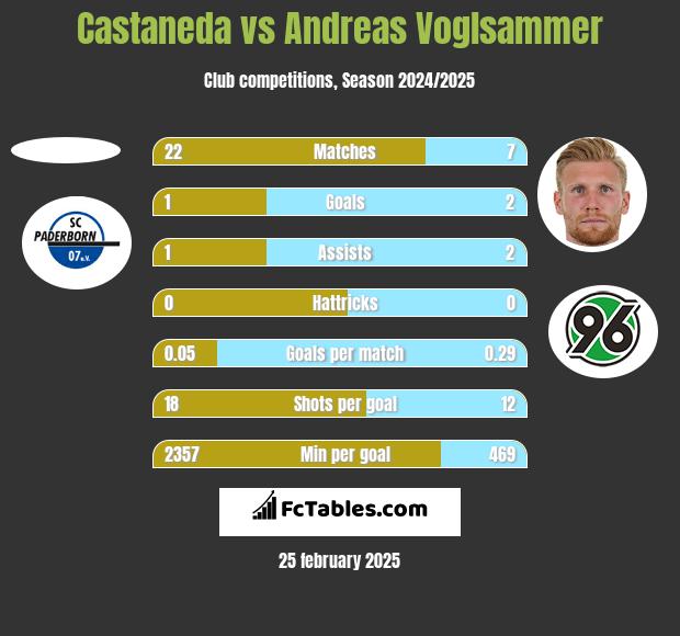 Castaneda vs Andreas Voglsammer h2h player stats