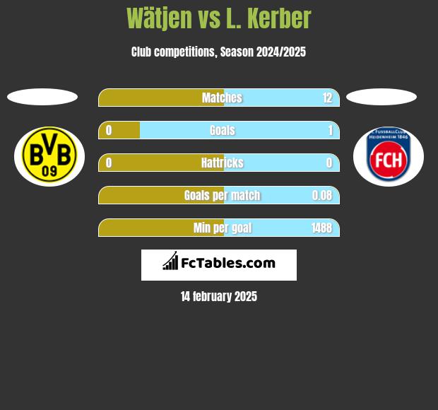 Wätjen vs L. Kerber h2h player stats