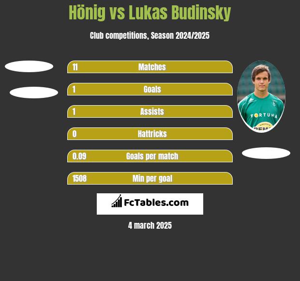 Hönig vs Lukas Budinsky h2h player stats