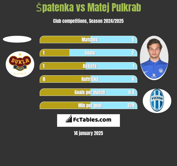 Špatenka vs Matej Pulkrab h2h player stats