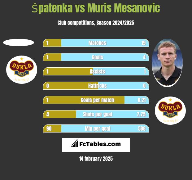 Špatenka vs Muris Mesanovic h2h player stats