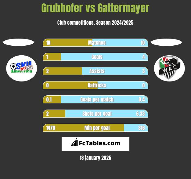 Grubhofer vs Gattermayer h2h player stats