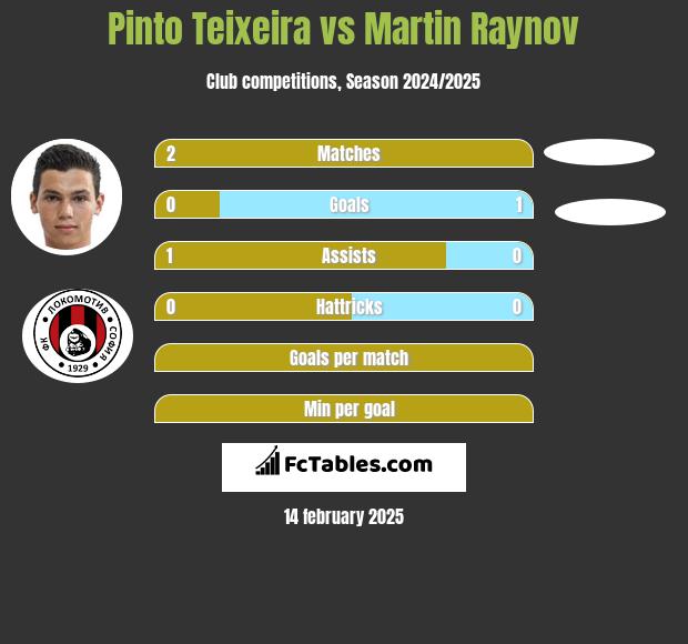 Pinto Teixeira vs Martin Raynov h2h player stats