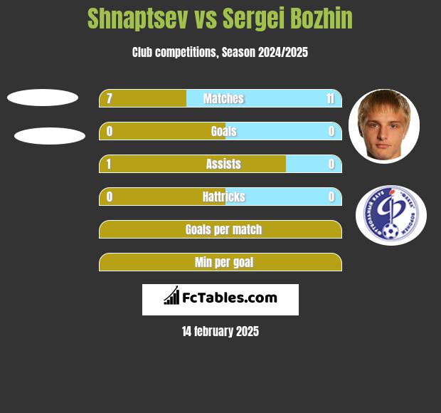 Shnaptsev vs Sergei Bozhin h2h player stats