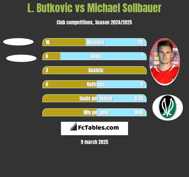 L. Butkovic vs Michael Sollbauer h2h player stats