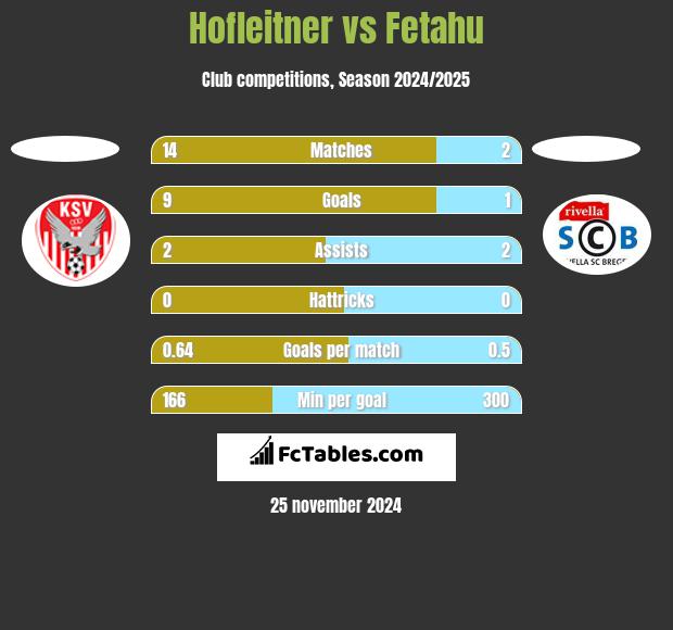 Hofleitner vs Fetahu h2h player stats