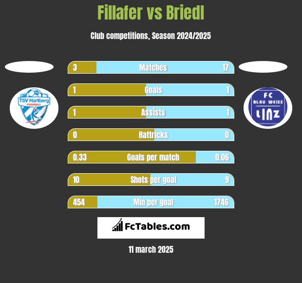 Fillafer vs Briedl h2h player stats