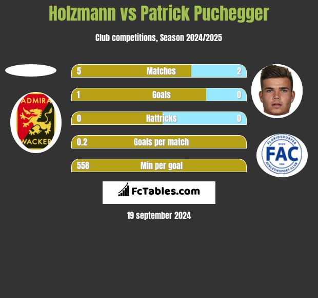 Holzmann vs Patrick Puchegger h2h player stats