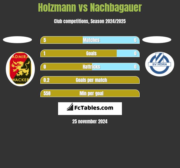 Holzmann vs Nachbagauer h2h player stats