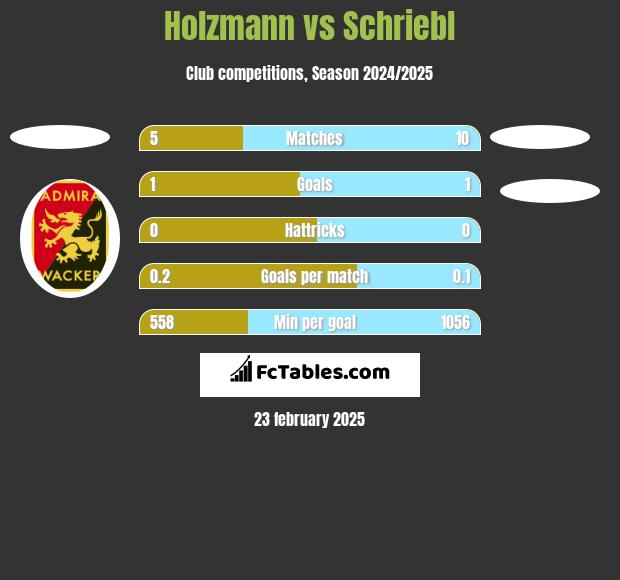 Holzmann vs Schriebl h2h player stats