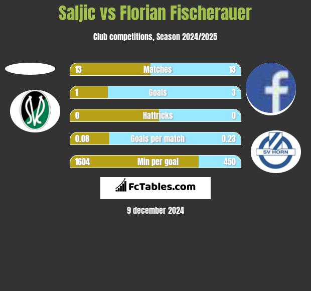 Saljic vs Florian Fischerauer h2h player stats