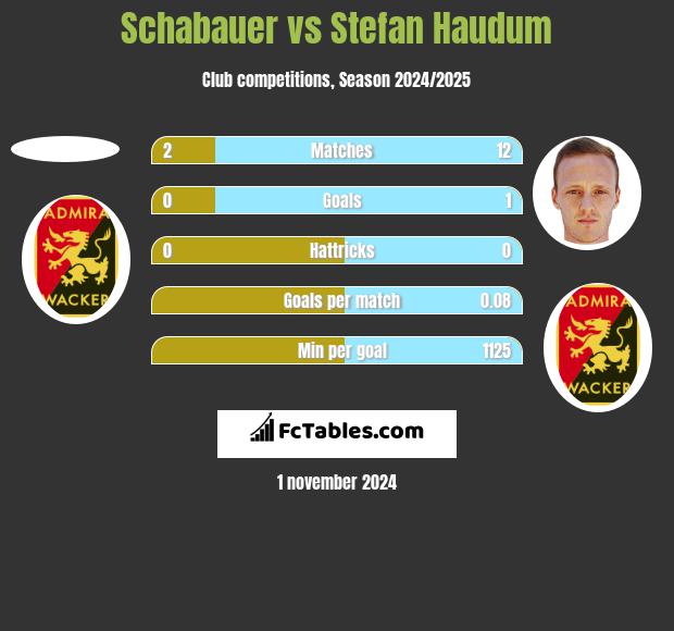 Schabauer vs Stefan Haudum h2h player stats