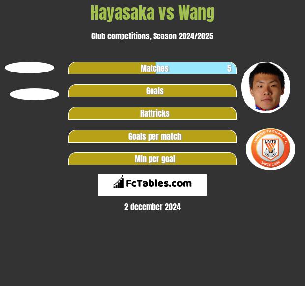 Hayasaka vs Wang h2h player stats