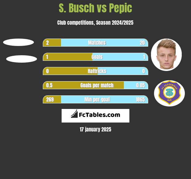 S. Busch vs Pepic h2h player stats