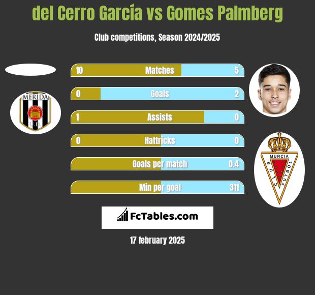 del Cerro García vs Gomes Palmberg h2h player stats