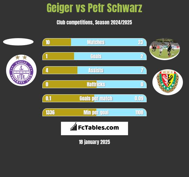 Geiger vs Petr Schwarz h2h player stats