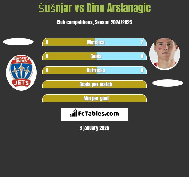 Šušnjar vs Dino Arslanagic h2h player stats