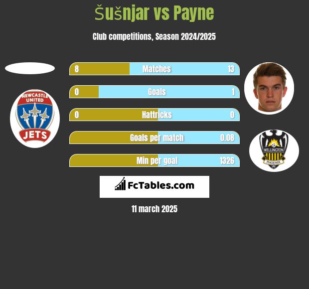 Šušnjar vs Payne h2h player stats