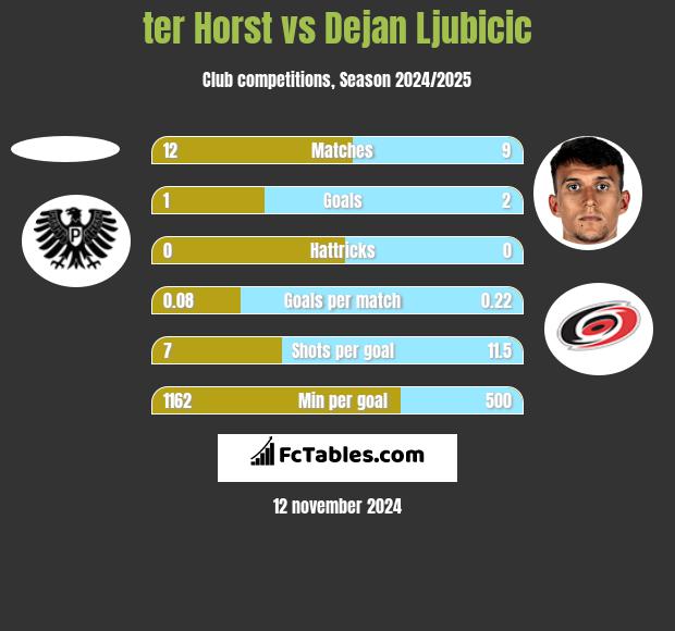 ter Horst vs Dejan Ljubicic h2h player stats