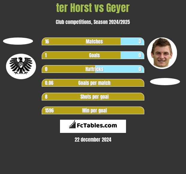 ter Horst vs Geyer h2h player stats