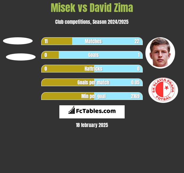 Misek vs David Zima h2h player stats