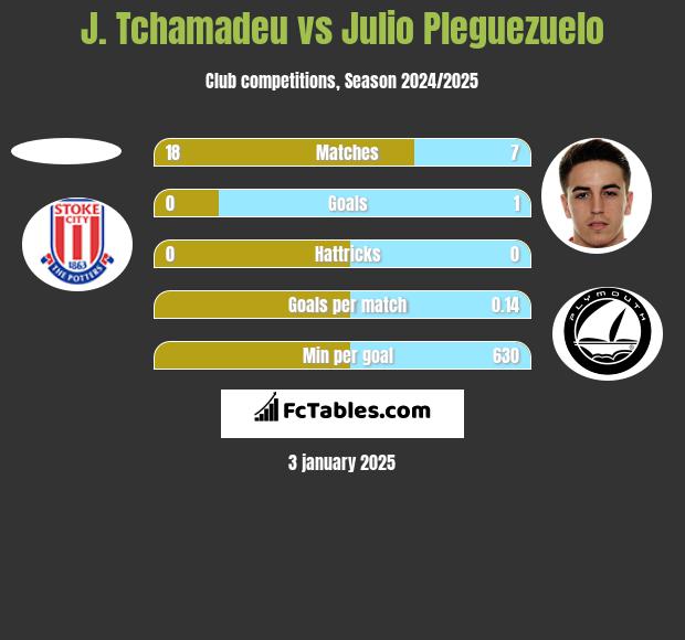 J. Tchamadeu vs Julio Pleguezuelo h2h player stats