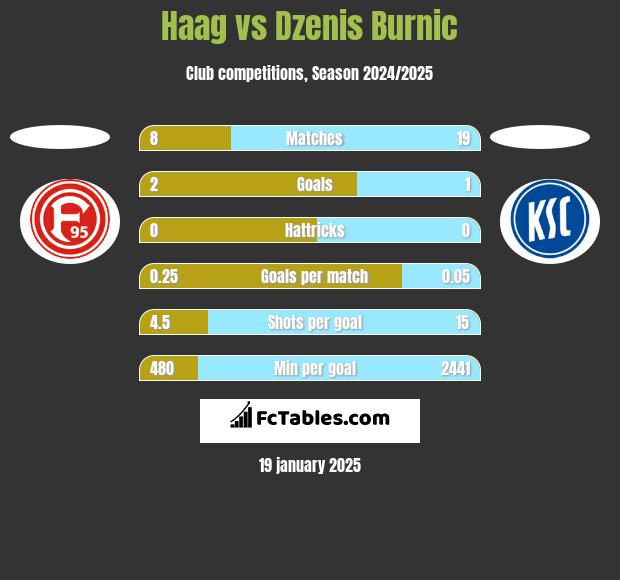 Haag vs Dzenis Burnic h2h player stats