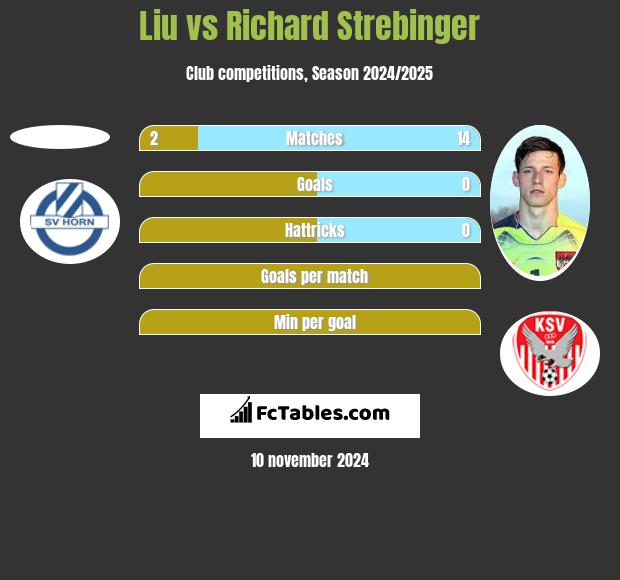 Liu vs Richard Strebinger h2h player stats