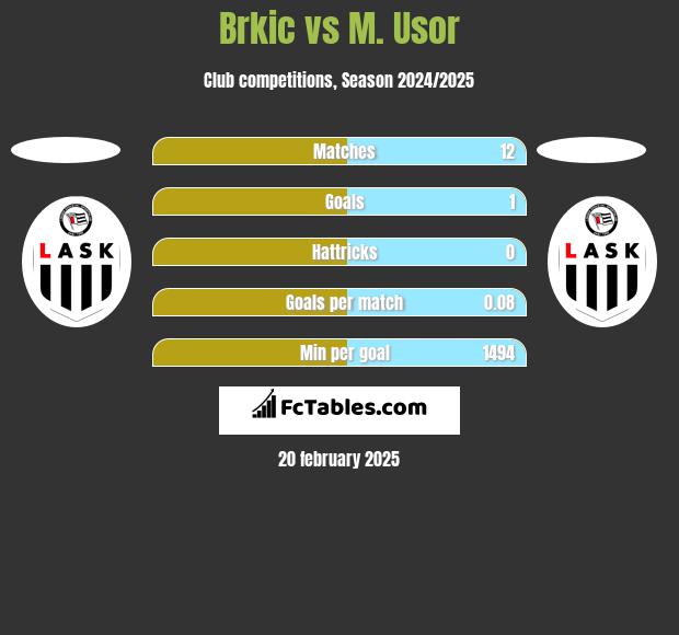 Brkic vs M. Usor h2h player stats