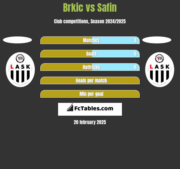 Brkic vs Safin h2h player stats