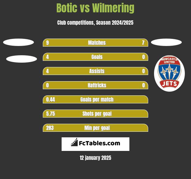 Botic vs Wilmering h2h player stats