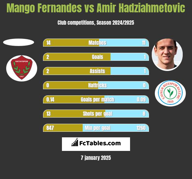 Mango Fernandes vs Amir Hadziahmetovic h2h player stats