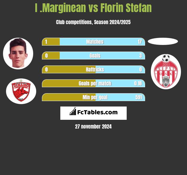 I .Marginean vs Florin Stefan h2h player stats