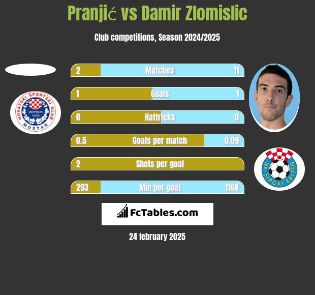 Pranjić vs Damir Zlomislic h2h player stats