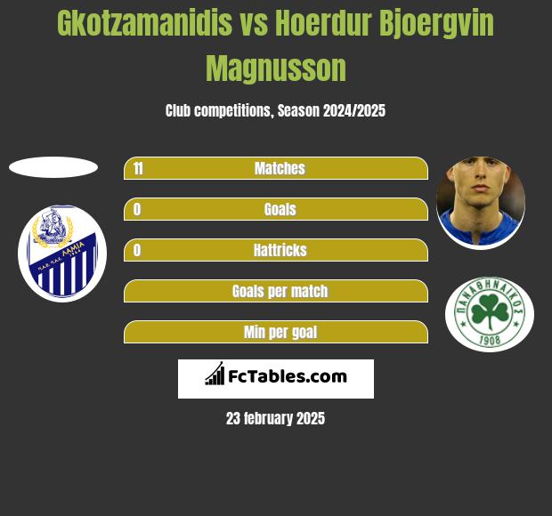 Gkotzamanidis vs Hoerdur Bjoergvin Magnusson h2h player stats