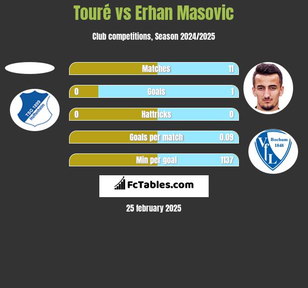 Touré vs Erhan Masovic h2h player stats