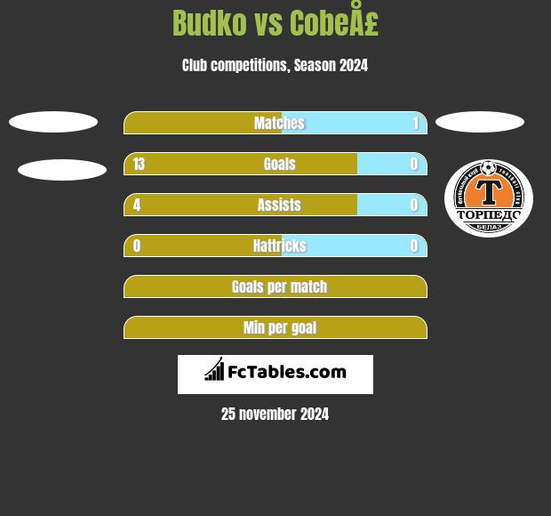 Budko vs CobeÅ£ h2h player stats