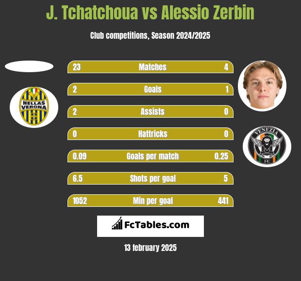 J. Tchatchoua vs Alessio Zerbin h2h player stats