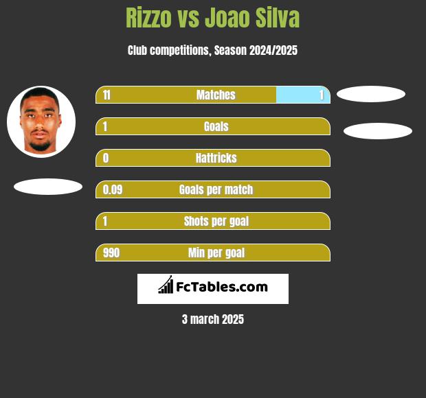 Rizzo vs Joao Silva h2h player stats