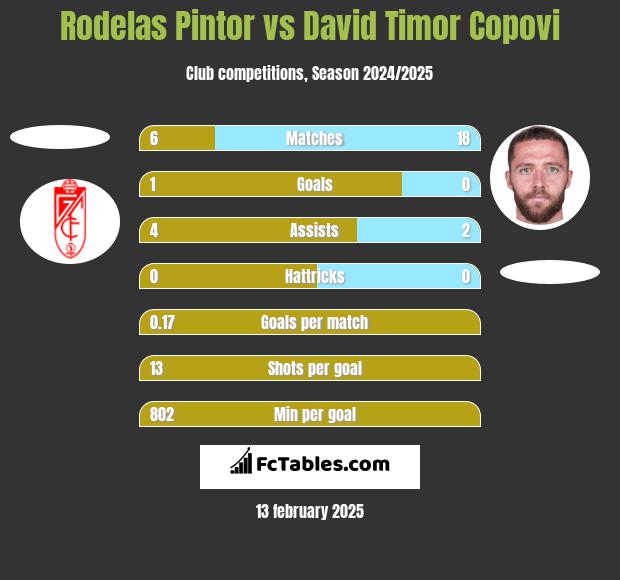 Rodelas Pintor vs David Timor Copovi h2h player stats