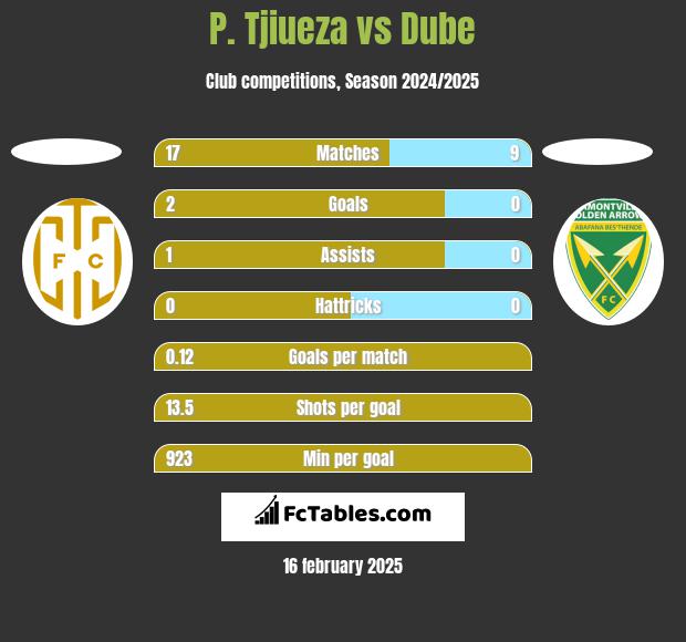 P. Tjiueza vs Dube h2h player stats