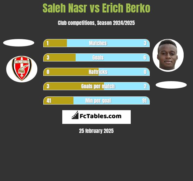 Saleh Nasr vs Erich Berko h2h player stats