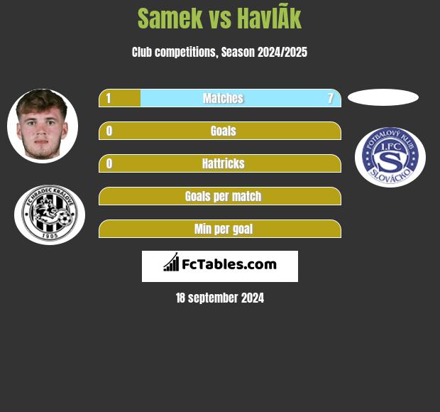 Samek vs HavlÃ­k h2h player stats